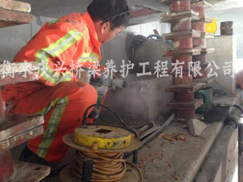 봨G213{(dio)vM̧