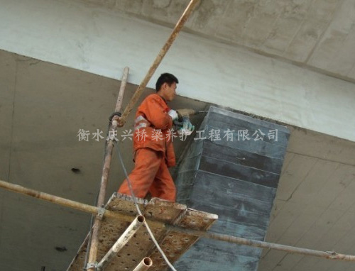 ���B����ʘ����w���