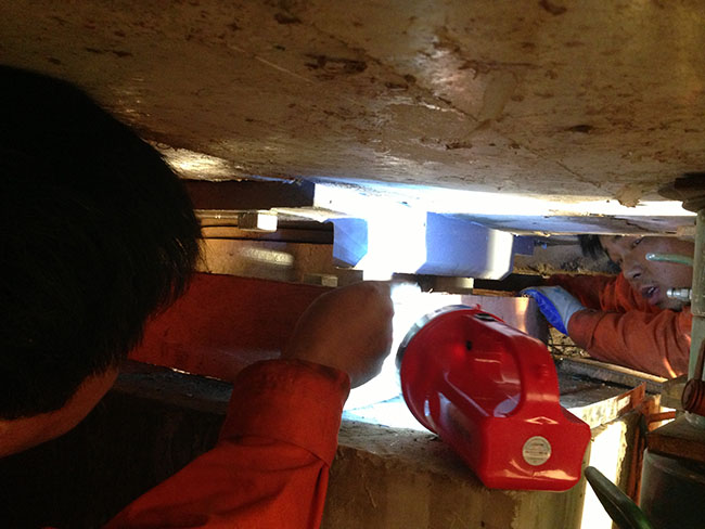 慶興橋梁養(yǎng)護(hù)