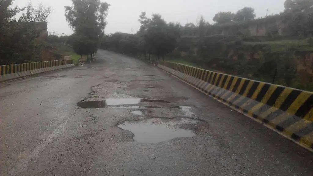 5.webp.jpg 5.webp.jpg